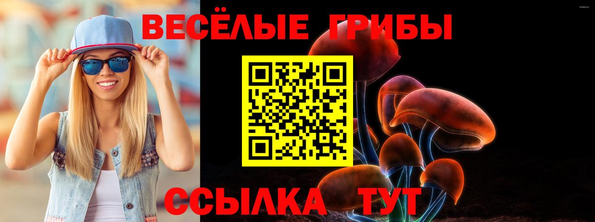 Галлюциногенные грибы Psilocybe  Вход с VPN  Печора 